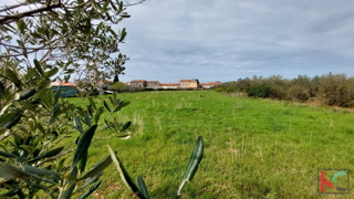 Istria, Dignano, Galižana, terreno edificabile 4583m2, #vendita