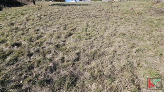 Istria - Canfanaro, terreno edificabile 1430m2, # in vendita