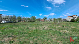 ISTRA, FAŽANA, TERRENO EDIFICABILE 524M2 #VENDITA