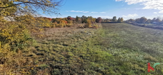 Istria, Kanfanar, Marići terreno edificabile 3671m2