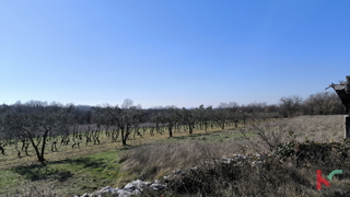 CENTRAL ISTRIA, BUILDING LAND 1255 M2 #FOR SALE