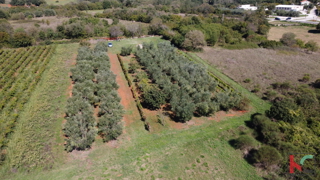 ISTRA, MARČANA, TERRENO 2507M2 COMBINATO EDIFICABILE CON PARTE NON URBANIZZATA, VENDITA