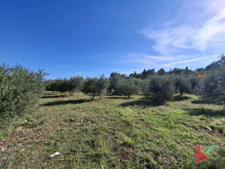 ISTRA, RAKALJ, TERRENO EDIFICABILE E AGRICOLO ATTRATTIVO DI 2422 m2 IN VENDITA