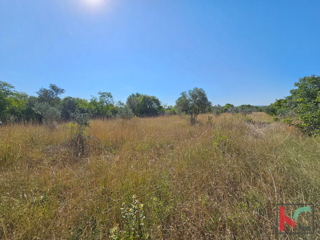 Istria, Fasana, terreno agricolo 2400m2