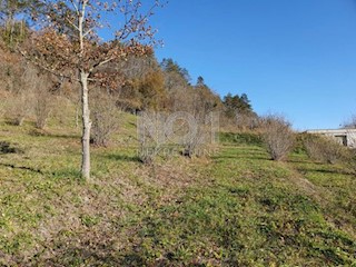 Terreno Livade, Oprtalj, 4.607m2