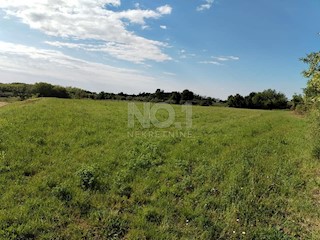 Terreno Kaštelir, Kaštelir-Labinci, 6.175m2