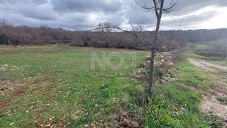 Terreno Plovanija, Buje, 763m2