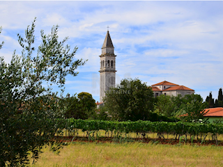 Terreno Vodnjan, 1.124m2