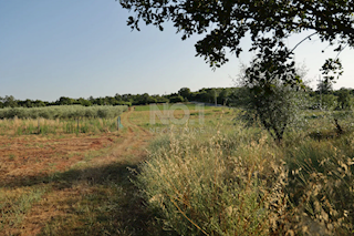 Terreno Žbandaj, Poreč, 11.530m2