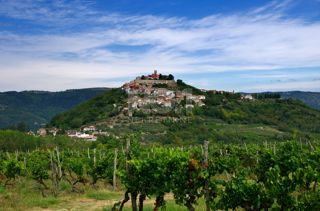 Dintorni di Montona - terreno agricolo fino alla zona edificabile