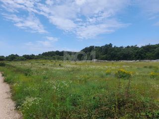 Rovigno - Vendita di terreno agricolo con potenziale edificabile