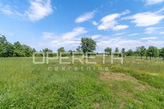 Istria, dintorni di Vizinada – terreno edificabile e agricolo