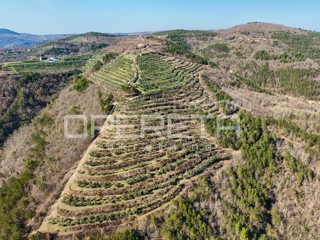 Grande proprietà di 170.000 m2 con una vista splendida