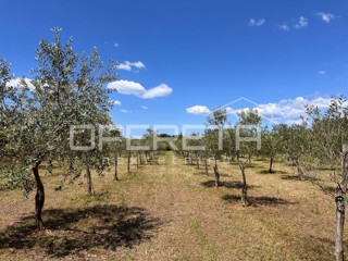 Juršići, Juršići, 2.449,00 m2, 83.000,00 EUR