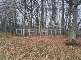 Stara Karlovačka, Pavučnjak, 3.104,00 m2, 155.000,00 EUR