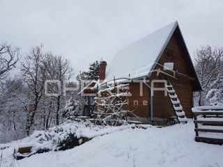 Casa di vacanza vicino a Opatija e Trieste, circondata dalla natura