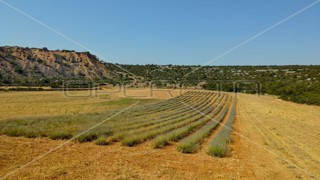 Proprietà ecologica, Jasenice, potenziale per costruzione e investimento