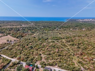 Istria, Vodnjan - dintorni, terreno agricolo 21486 m2