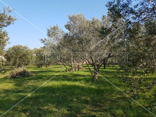 Terreno edificabile, 961 m2, a 700 m dal mare, Sukošan, Zara