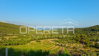 Terreno agricolo con 500 mandorli e vista mare, Brač