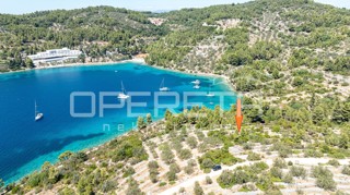 Terreno vicino al mare con struttura e ulivi, 582 m2 – Vela Luka