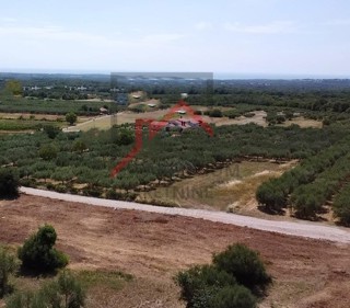 Terreno Poreč