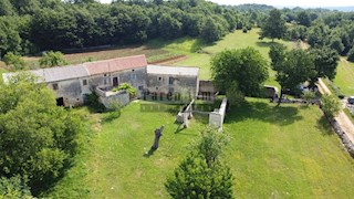 Tinjan, dintorni, Casa in pietra istriana circondata dal verde.