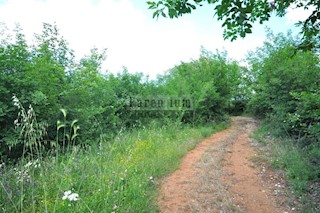 Scopo commerciale - terreno tra Rovigno e Canfanaro