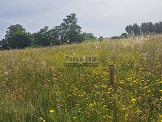 Terreno edificabile in campagna