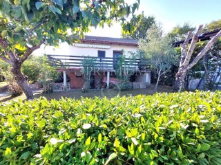 Soline, casa indipendente con giardino, a 400 m dal mare!