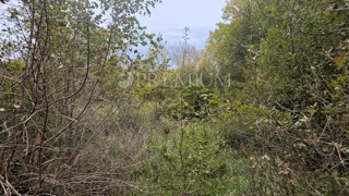 Baia di Soline, terreno agricolo 3.640 m²!