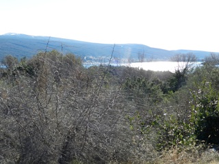 Terreno agricolo con bellissima vista mare!