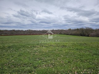 TERRENO AGRICOLO VICINO AL PAESE