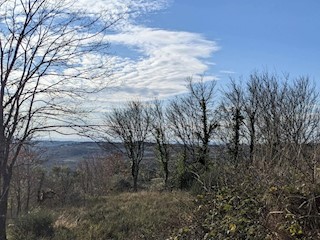 GRISIGNANA-TERRENO EDIFICABILE IN VENDITA VISTA MARE