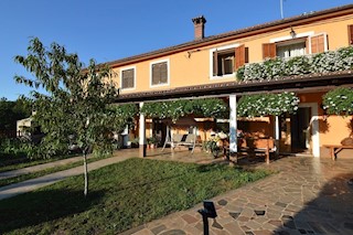 GRISGNANA-CASA IN VENDITA