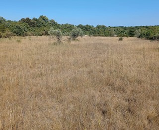 VODNJAN-5 km DA FASANA TERRENO AGRICOLO IN VENDITA