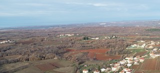 Terreno di 3910 m2 con vigneto, vicino a Vizinada, Parenzo, Istria