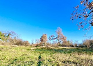 Terreno agricolo in ottima posizione, Režanci, Istria