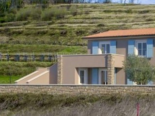 Splendida villa con piscina e vista su vigneti e uliveti a Momjan, Istria