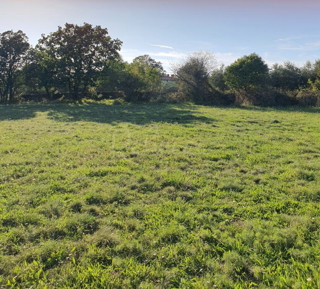 Terreno edificabile e agricolo, 7600 m2, vicino a Peruška