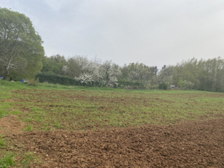 Terreno edificabile nel nuovo e tranquillo insediamento di Pazina