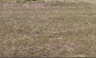 Terreno edificabile, 550 m2, costruzione, progetto, vicino a Medolino