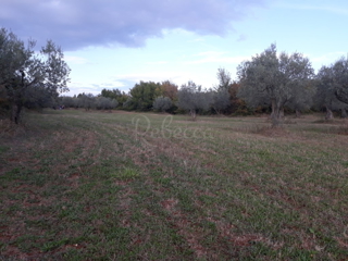 Terreno residenziale, un'opportunità per gli investitori