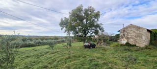 Oprtalj: Casa 80 m2, terreno 4498 m2