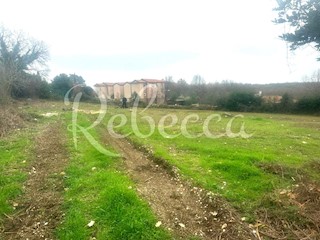 ISTRIA, BRTONIGLA, TERRENO EDIFICABILE PER APPARTAMENTI, VISTA MARE