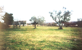 Ampia proprietà di 7800 m2, terreno edificabile, vicinanza a Bale