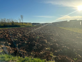Istria, Salvore, ampio terreno edificabile per la costruzione di ville, vicino al mare