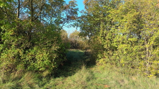 Istria, Prnjani: Terreno agricolo 7600 m2