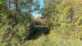 Istria, Prnjani: Terreno agricolo 7600 m2