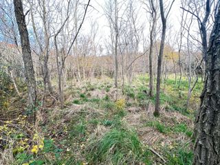 Grižane - terreno edificabile in una zona tranquilla